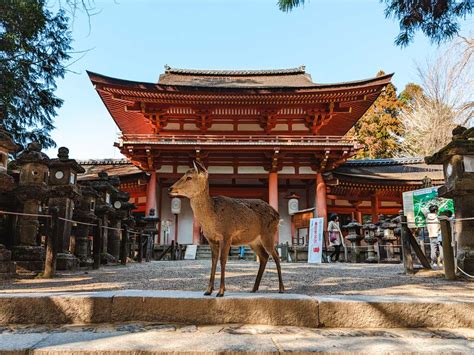 奈良是哪個城市?奈良縣的地理位置與日本的歷史文化有何連結?